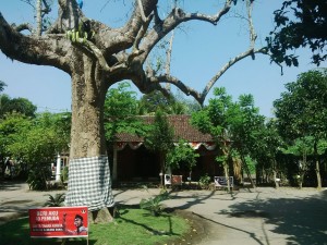 NDALEM POJOK 2015