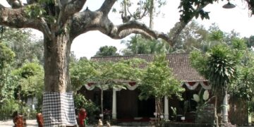 Bunga Kantil Asama di Ndalem Pojok: Simbol Cinta yang Menyatukan Jawa dan Bali