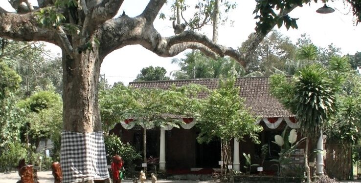Bunga Kantil Asama di Ndalem Pojok: Simbol Cinta yang Menyatukan Jawa dan Bali