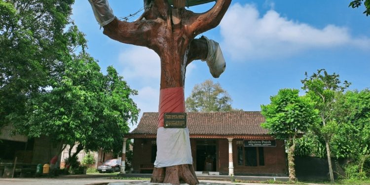 SABDA CINTA DARI KEDIRI: JEJAK MONUMEN POHON KANTIL SAKSI TAKDIR LAHIRNYA SANG PROKLAMATOR